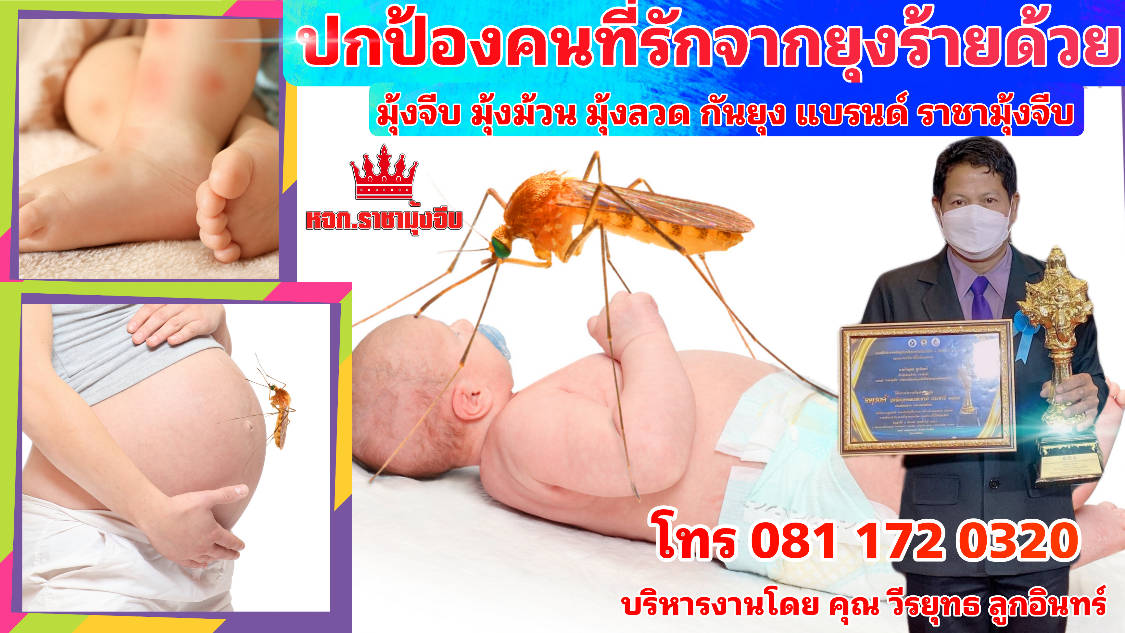 มุ้งจีบ มุ้งจีบ